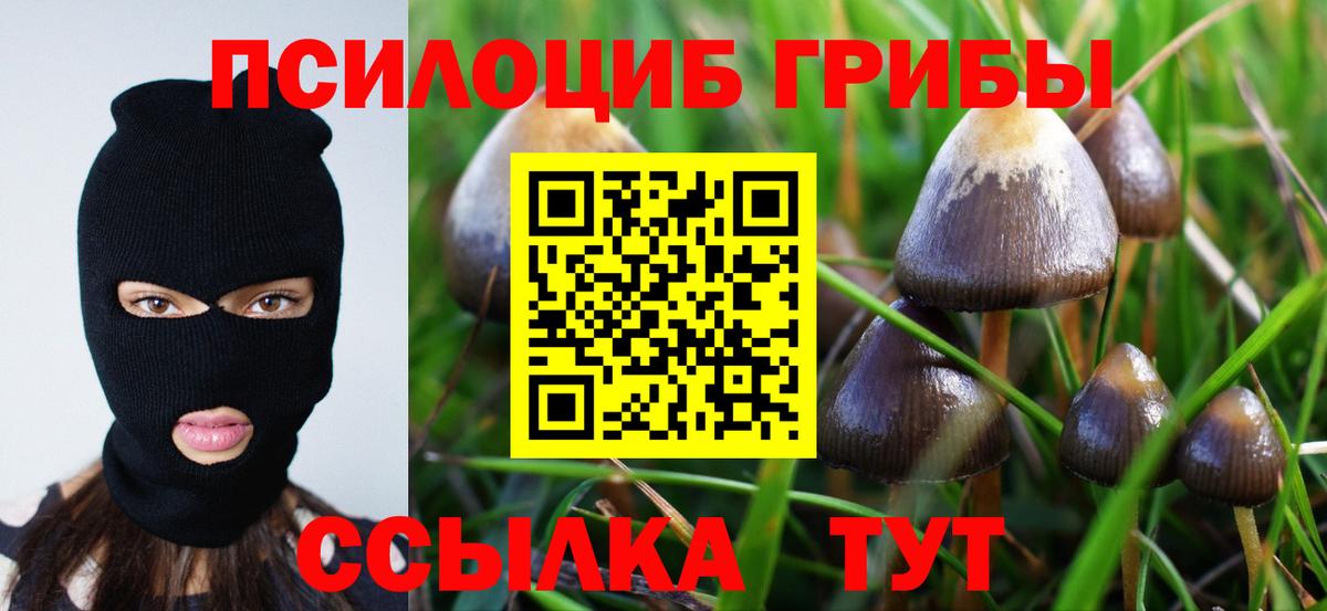 Псилоцибиновые грибы Psilocybe  Вход с VPN  Одинцово 