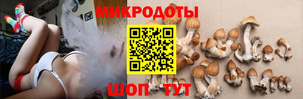 Галлюциногенные грибы MAGIC MUSHROOMS Одинцово